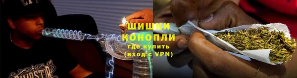 дживик Горняк