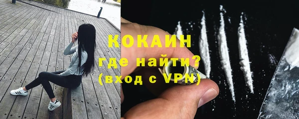 дмт Гусь-Хрустальный