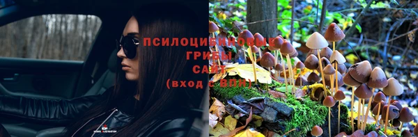 круглые Горно-Алтайск