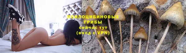 круглые Горно-Алтайск